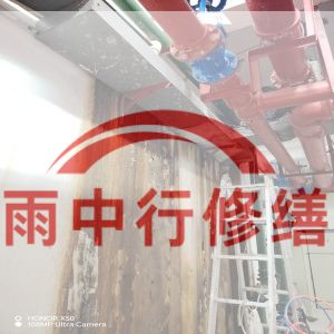 松江某商业综合体地下室堵漏加固